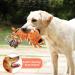 IOKHEIRA Large Breed Dog Plush Toy for Teeth Cleaning & Tug of War - Beige&Brown - Buy Online on GoSupps.com