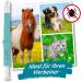 Ticksafe Tick Gripper - Gentle Rotating Gripper Head for Easy tick Removal | Best Alternative to Tick Tongs | Turquoise Design (1 Piece for Animals) - Buy Online on GoSupps.com
