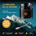 Shilajit Pur de Qualit Or R sine Authentique de l'Alta 50g R serve de 6 Mois Extraction Traditionnelle Acide Fulvique + Compos s Humiques - Buy Online on GoSupps.com