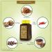 USimplySeason Caribbean Spice (Jamaican Jerk Seasoning) - Buy Online on GoSupps.com