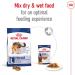 Royal Canin - Adult dog food - 4 kg - Buy Online on GoSupps.com