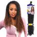FreeTress Water Wave Bulk 22 Synthetic Hair Braids - 6 Pack 1B 22 Inch - Buy Online on GoSupps.com