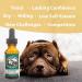 Botanical Animal Safe Natural Flower Essence Combination Competitive Edge Kit - Calm, Cool, Collected Animals During Show & Competition - Non-Mood Altering, Hemp-Free, Non Allergenic - 1 oz (30 ml) - Buy Online on GoSupps.com