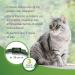 Beaphar Cat Collar Natural Protection - Buy Online on GoSupps.com