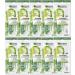 L'Or al Group 10 X Garnier Skin Active Niacinamide Ampoule Detox Facial Mask 15g Oily Skin