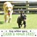 BUGALUGS Artificial Grass Cleaner - Dog Safe Pet Disinfectant & Lawn Deodoriser - Puppy Urine Cleaner & Odour Eliminator - 1L Super Concentrate - Made in UK Cruelty Free (Fresh Cut Grass 1L) - Buy Online on GoSupps.com