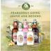 Fentimans Ginger Beer 4 x 200ml - Buy Authentic Craft Brewed Ginger Beer Online - International Shipping Available - Buy Online on GoSupps.com