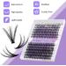 Individual Lashes Cluster Extension 240PCS C Curl 0.07mm 20D/30D Mix 12-16mm RR-12-16mm - Buy Online on GoSupps.com