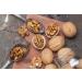 1001 Fruit Walnut Kernels 500g - Natural Shell-Free Walnuts from Germany | Additives-Free Healthy Raw Food Quality Gentechnik-Free - Buy Online on GoSupps.com