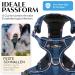 Freudentier Breathable Dog Harness | Comfort Padded & Secure | Anti-Drawing for All Dog Sizes | Let s Get Foxy Collection - Buy Online on GoSupps.com