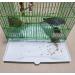 Bird Cage Liner Papers - 100 Pre-Cut Non-Woven Sheets for Bird Parrot Cages (11.8 x 9.8) - Absorbent Pet Animal Cushion - Buy Online on GoSupps.com