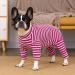 Axcimond Dogs One-Divider Long-Sleeved Dog Bodysuit | Post-Op Wound Protection for Small & Medium Dogs | Anti-Leak Dog Cone Alternative - XL Rose - Buy Online on GoSupps.com