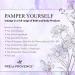 Pre de Provence Artisanal Soap Bar with Organic Shea Butter - Starflower 5.3 oz (Pack of 1) - Buy Online on GoSupps.com