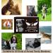 BAMTALK Pet Memorial Urn for Ashes & Photo Frame | Wooden Bamboo Nature Urn for Dogs & Cats | Pet Cremation Keepsake Box for Loss Remembrance | Walnut Finish - Buy Online on GoSupps.com