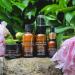 Sahajan Discovery Gift Set - Ayurvedic Facial Care for Women | Essential Cleansing Oil Balance Toner Radiance Serum & Nourish Creme Riche - International Shipping Available - Buy Online on GoSupps.com