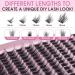 180PCS Wispy 3D Cluster Lashes - Fluffy Volume Faux Mink Eyelash Extensions (8-16mm Mixed) for Stunning Eyes | International Shipping Available - Buy Online on GoSupps.com