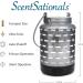 Scentsationals Eclectic Diffuser - Electric Aromatherapy Essential Oils & Fragrance Home Air Freshener - Perfect Gift (Galvanized - Buy Online on GoSupps.com