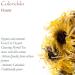 Calendula Marigold Petal Flower - Whole 350g Petals for Petals - Buy Online on GoSupps.com