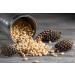 Premium Siberian Raw Pine Nuts GMO Free (700gr) - Buy Online on GoSupps.com