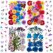 LUCISKY 223 Pcs Dried Pressed Flowers for Resin and Nails  Real Natural Flowers Leaves and Butterfly Stickers for Jewelry Soap and Candle Making