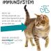 Maxxicat Maxxidigest+ Probiotics & Digestive Enzymes for Cats - Non-GMO Digestive & Immune Support Powder - 200g - Buy Online on GoSupps.com