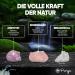 Puraja Gem Water Basic Set - Premium Crystals for Water Revival | Natural Stones: Rose Quartz Amethyst Mountain Crystal (150g) - Buy Online on GoSupps.com