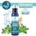 Cold Sore Treatment | Effective Cold Sore & Fever Blister Relief for Lips - Buy Online on GoSupps.com