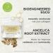 Elizabeth Arden White Tea Skin Solutions Nature's Superpower Glow Heroes 2-Piece Set with Fortifying Bi-Phase Oil Serum & Replenishing Micro-Gel Cream Hydrating & Brightening Vegan - Buy Online on GoSupps.com