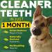 TropiClean Fresh Breath Oral Care Gel for Dogs - 4 oz Dental Toothpaste Gel, Removes Plaque & Tartar, Breath Freshener - Buy Online on GoSupps.com