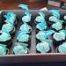 Arthsdite 24Pcs Dolphin Cupcake Toppers Under the Sea Theme Cupcake Picks Ocean Animal Baby Shower Kids Birthday Party Cake Decorations Supplies - Blue Glitter - Buy Online on GoSupps.com