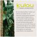 Kulau Organic Coconut Water 1L - 100% Pure No Sugar Pack of 12 - Buy Online Internationally - Buy Online on GoSupps.com