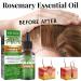 100% Pure Rosemary Oil for Hair Growth & Skin Care | Stimulate Hair Growth & Nourish Scalp | Essential Oil for Eyebrows & Eyelashes (1PC) - Buy Online on GoSupps.com