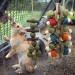 Shop Runfar: Premium Rabbit & Hamster Toys | Molar Sticks Grass Balls Bamboo Branches & More - Buy Online on GoSupps.com