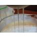 Buy 10g Organic Milk Kefir Grains | Tibetan Mushrooms & Snow Lotus - Premium Quality for Gut Health - Buy Online on GoSupps.com