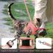 Adjustable Cat Leash Set - Reflective Vest & Dishes for Kittens & Small Dogs (Pink XS) - Durable Polyester - Buy Online on GoSupps.com