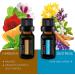 Pure Daily Care Top 10 Essential Oil Synergy Blend Set - 10x10mL Therapeutic Grade Oils for Mind, Body, and Spirit Upliftment - No Fillers or Additives - Buy Online on GoSupps.com