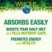 Natural Factors Whole Earth Sea Women's 50 Multivitamin Mineral Vegan 120 Tablets - 120 Count - Buy Online on GoSupps.com