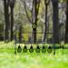 LYTACTICS 6 Targets Resetting Air Gun Pellet and BB Gun Target - Rated for .22 .177 Caliber - Buy Online on GoSupps.com