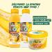  SET OF 6 Fructis Hair Food Nourishing Vegan Banana Shampoo 350ml - Buy Online on GoSupps.com