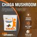 Organic Chaga Mushroom Powder - Immune Support Supplement, 500mg per Serving, Vegan & Gluten Free - 500g (1.1 lbs) - BULKSUPPLEMENTS.COM - Buy Online on GoSupps.com