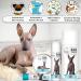 Buy The Blissful Dog Xoloitzcuintli Boo Boo Butter - 1-Ounce | Natural Skin Relief for Xoloitzcuintli Dogs | Fast International Shipping - Buy Online on GoSupps.com