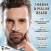 King Leonidas 0.30mm Titanium Beard Derma Roller for Men with 2 Replacement Heads - Promotes Facial Hair and Beard Growth - Buy Online on GoSupps.com