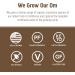 Om Mushroom Superfood Brain Fuel Plus Mocha Mushroom Powder 4oz - Lions Mane & Rhodiola Memory Support - Focus Supplement 15 Servings - Buy Online on GoSupps.com