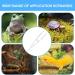 Reptile Feeding Tongs Glow in Dark Feeder Tools Anti Slip Long Tweezers Ergonomic lizards Tweezers feeding tongs reptile feeding tongs snake feeding tongs Feeding Tweezers for Snake Spider - Buy Online on GoSupps.com