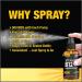 Liquid B12 Spray (2 Pack) - Vegan Sublingual Methylcobalamin Vitamin Boost for Energy & Mood - Gluten-Free & Non-GMO - Discover Why B 12 Drops Outshine the Rest - Buy Online on GoSupps.com