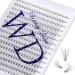 Individual Lashes 300PCS Cluster Lashes Extension DD Curl 10D 0.07mm 8-16mm Mixed Lash Clusters Wide Stem Individual Eyelashes Clusters DIY Eyelashes Extensions at Home(Cluster-10D-0.07-DD-MIX8-16) RR-8-16mm Cluster Lashes-10D-0.07-DD