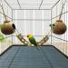 Coconut Bird Nest Hut with Ladder - Natural Hideaway for Birds, Hamsters, Geckos & Squirrels - Buy Online on GoSupps.com
