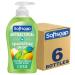 Softsoap Antibacterial Liquid Hand Soap Gentle Clean Sparkling Pear Scent Hand Soap 11.25 Ounce 6 Pack Sparkling Pear 11.2 Fl Oz (Pack of 6)