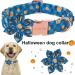 Shop Aring Pet Pumpkin Dog Hales Band - Adjustable Halloween Plaid with Flower for Small Medium Large Dogs - Perfect for Spooky Season - Buy Online on GoSupps.com
