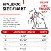 Waudog Adjustable Nylon Dog Collar - Large & Medium Dogs | Pink Watermelon 23-35 cm 15 mm Width | Durable & Stylish Neck Band for Puppies - Buy Online on GoSupps.com